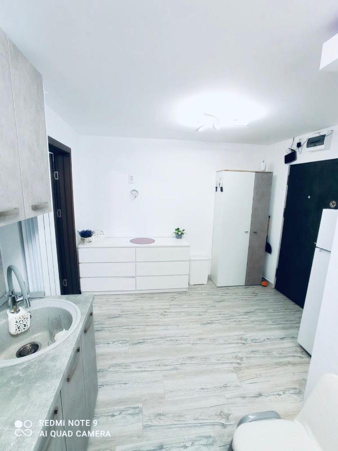 Garsoniera Daniela Daire Tîrgu Ocna Dış mekan fotoğraf