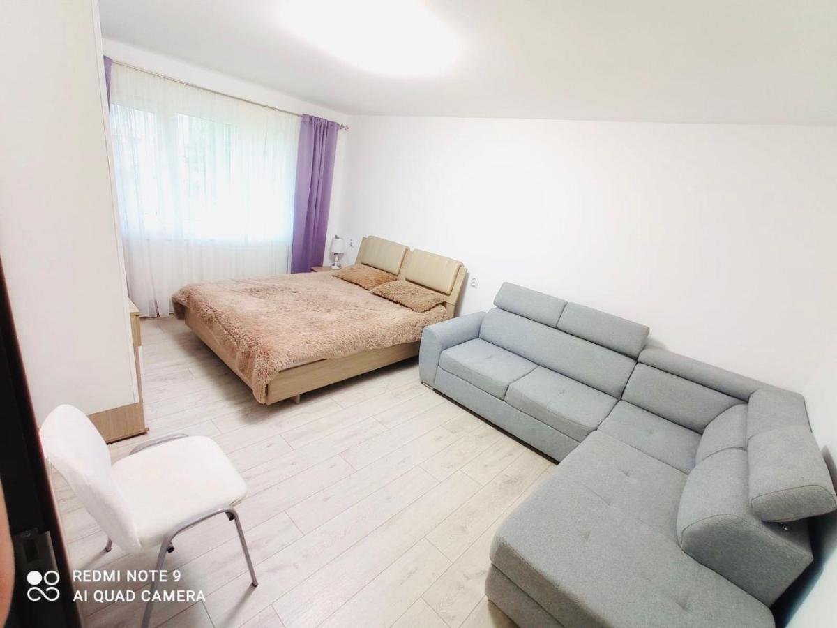Garsoniera Daniela Daire Tîrgu Ocna Dış mekan fotoğraf